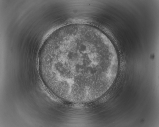 X0000115071035200912081143