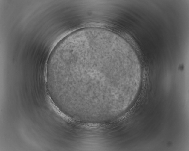 X0000115071036200912081143