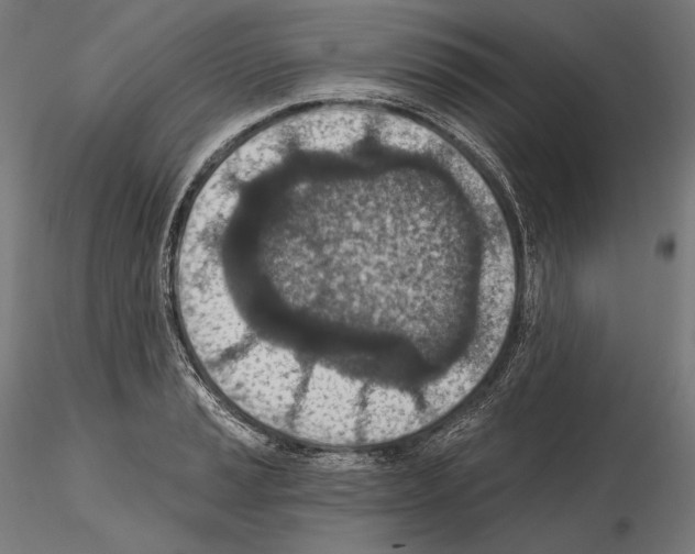 X0000115071037200912081143