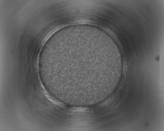 X0000115071039200912081143