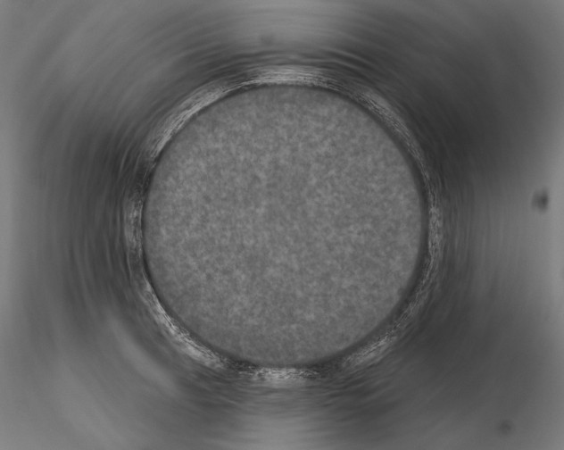 X0000115071041200912081143