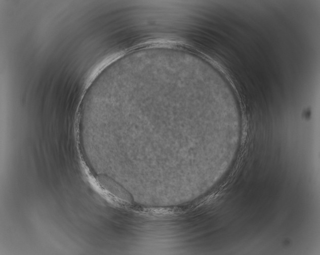 X0000115071042200912081143