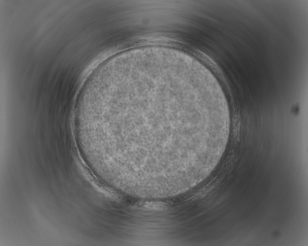 X0000115071043200912081143