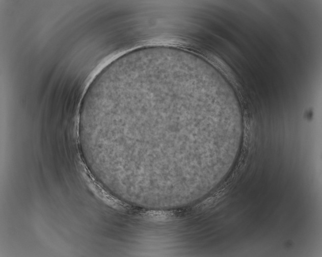 X0000115071044200912081143