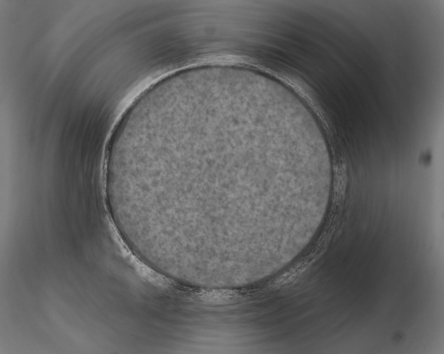 X0000115071046200912081143