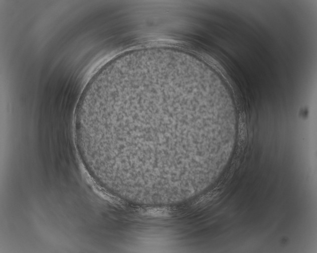 X0000115071047200912081143