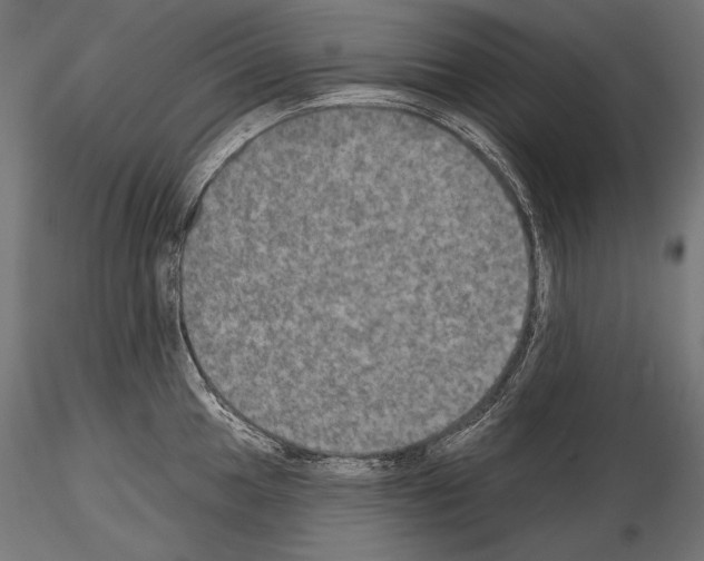 X0000115071049200912081143