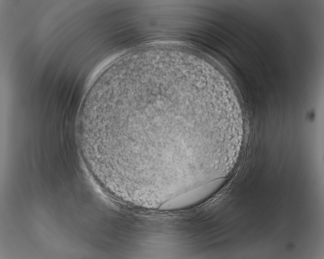 X0000115071050200912081143