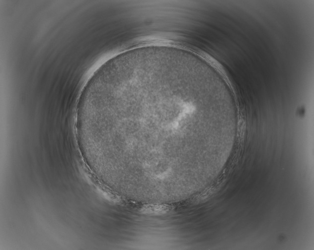 X0000115071051200912081143