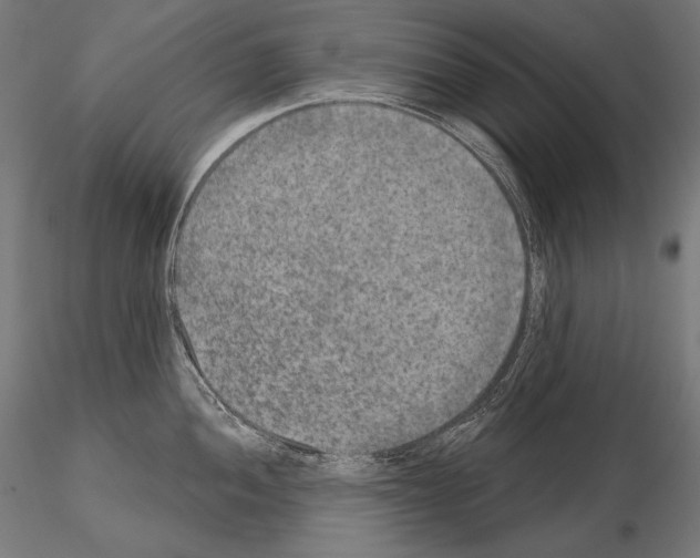 X0000115071052200912081143