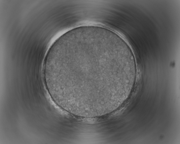 X0000115071053200912081143