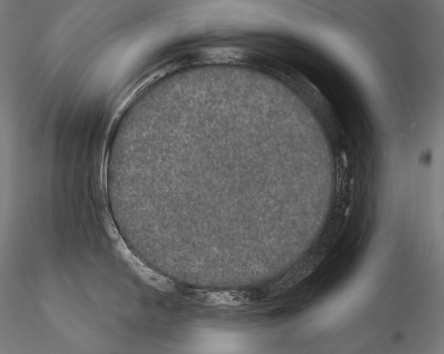 X0000115071054200912081143