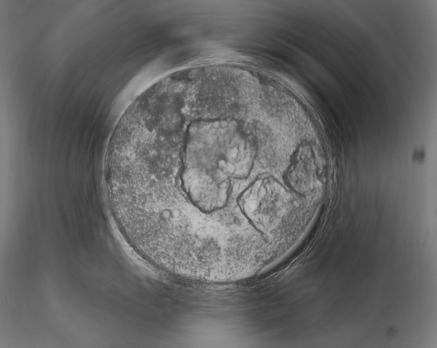 X0000115071055200912081143