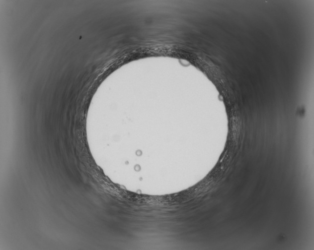X0000115071057200912081142