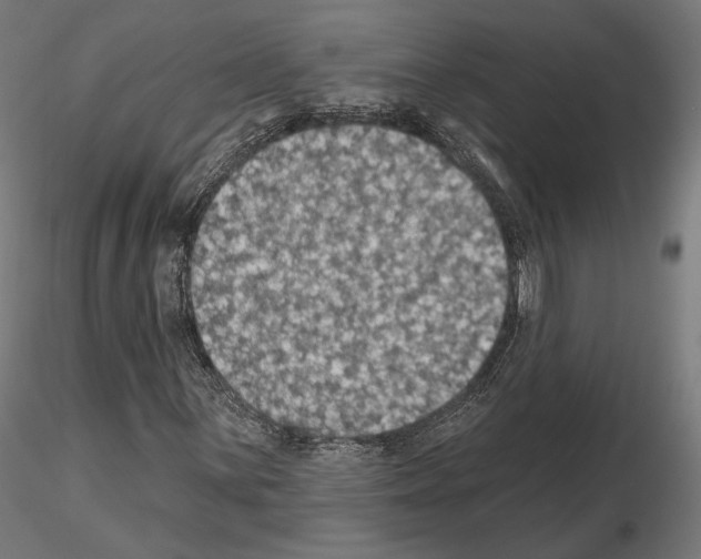 X0000115071059200912081142