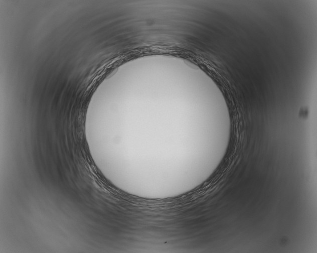 X0000115071060200912081142