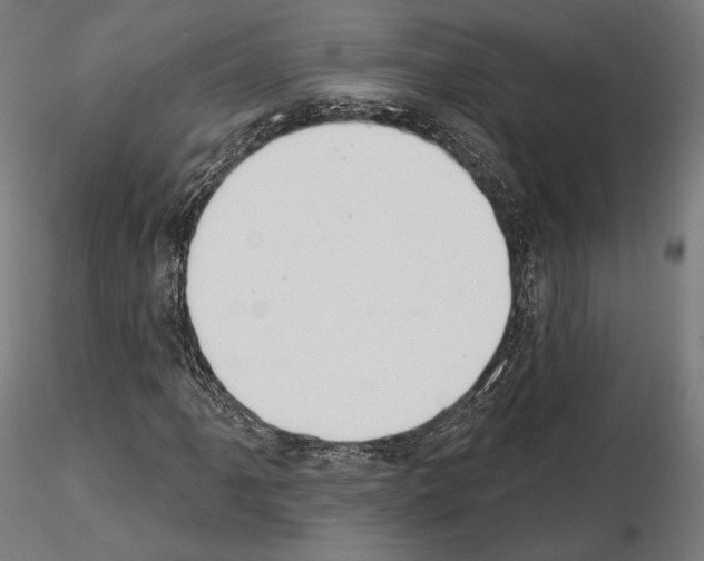 X0000115071061200912081142