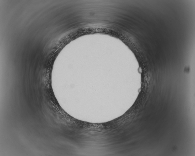 X0000115071062200912081142