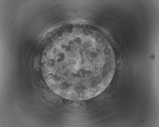 X0000115071063200912081142