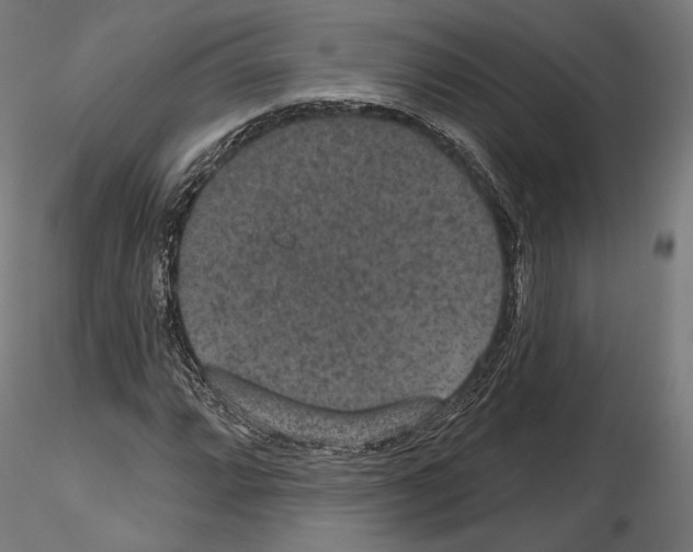 X0000115071064200912081142