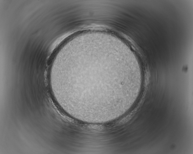 X0000115071066200912081142