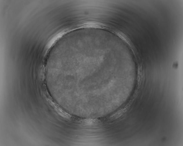 X0000115071067200912081142