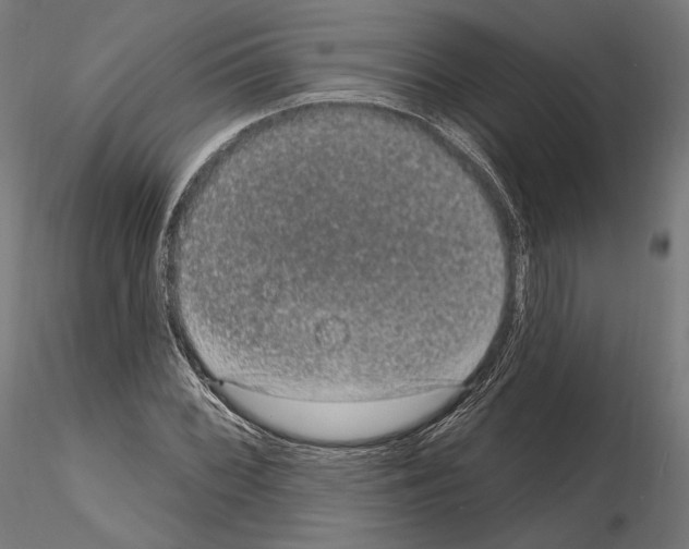 X0000115071068200912081142
