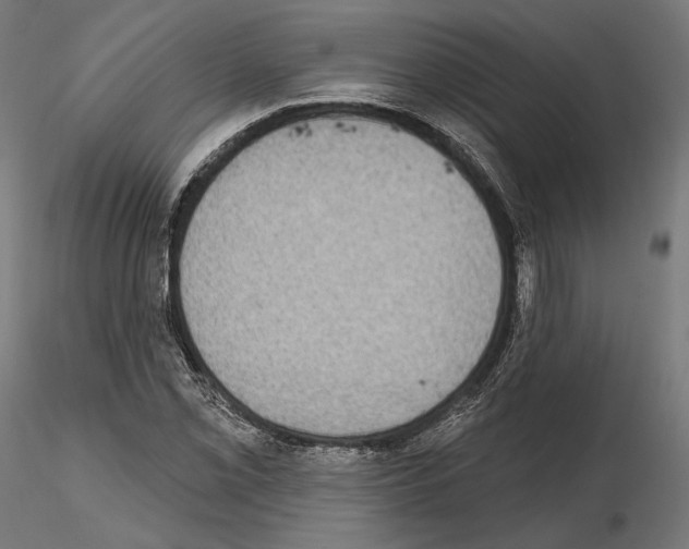 X0000115071069200912081142