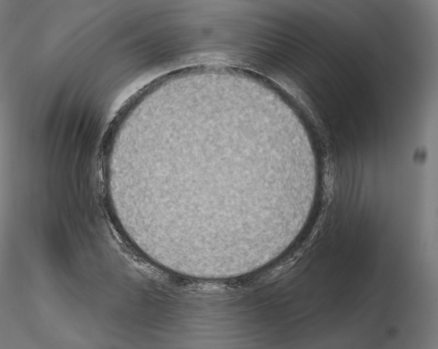 X0000115071070200912081142