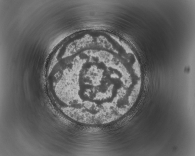 X0000115071071200912081142