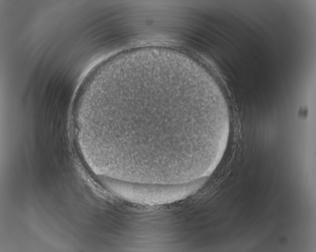 X0000115071072200912081142