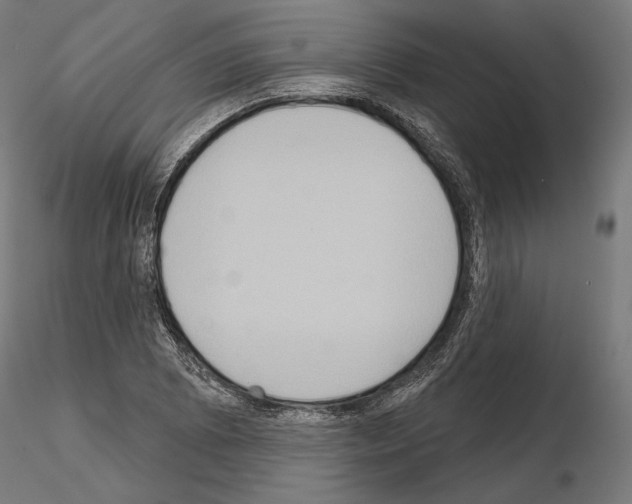 X0000115071073200912081142