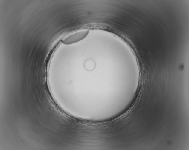 X0000115071075200912081142