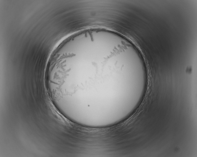 X0000115071076200912081142