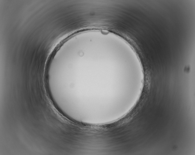 X0000115071077200912081142