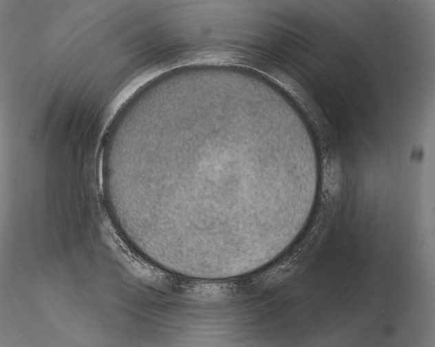 X0000115071078200912081142