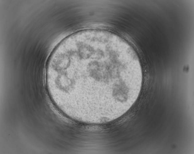 X0000115071079200912081142