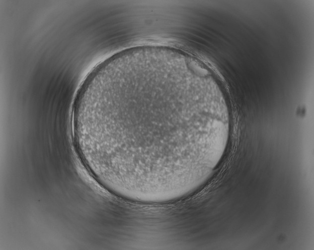 X0000115071080200912081142