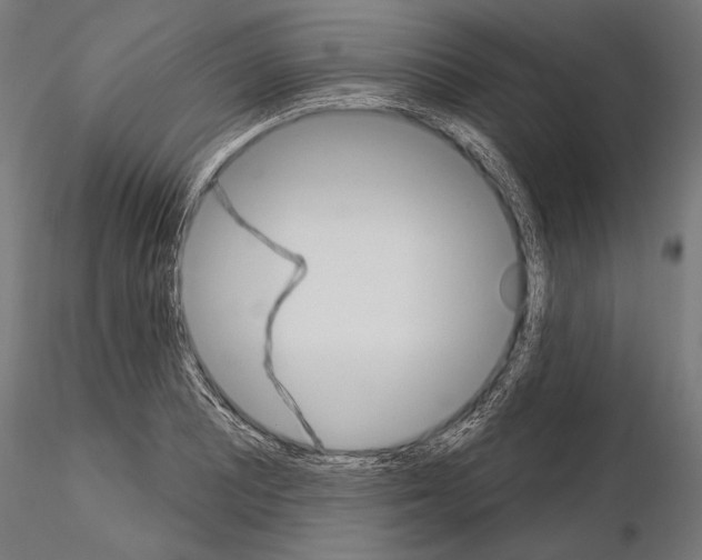 X0000115071081200912081142
