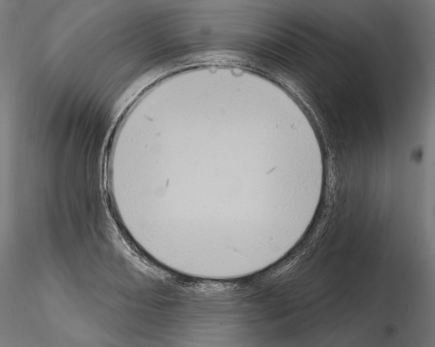 X0000115071082200912081142
