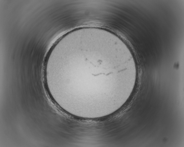 X0000115071085200912081142