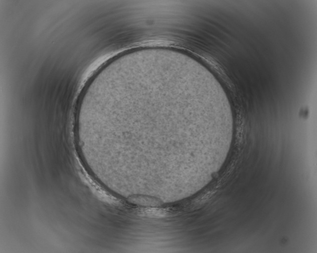 X0000115071086200912081142