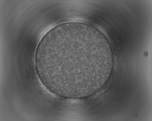 X0000115071087200912081142