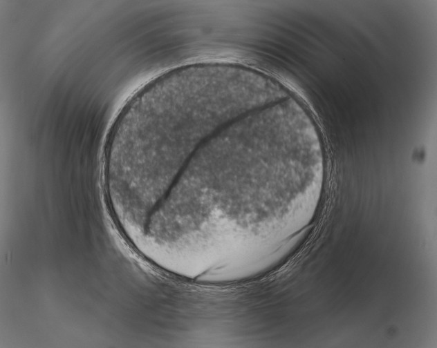 X0000115071088200912081142
