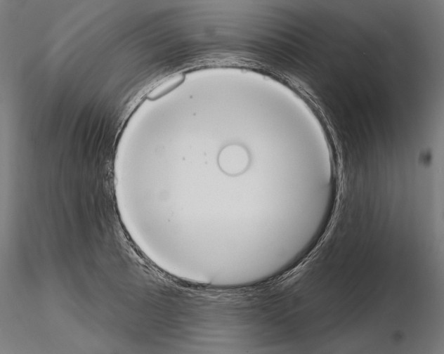 X0000115071089200912081142