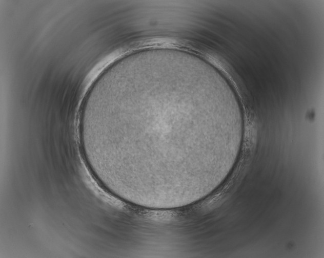 X0000115071090200912081142