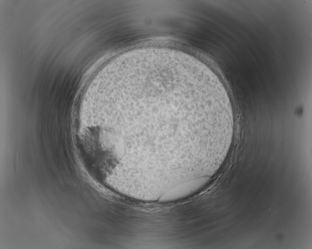 X0000115071091200912081142
