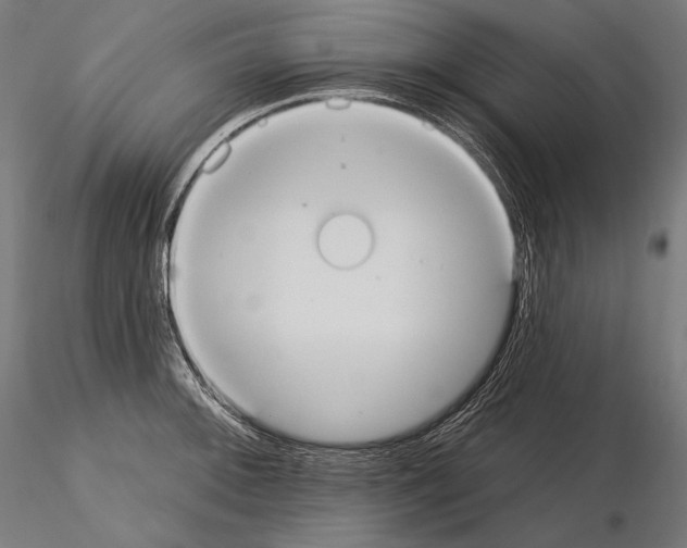 X0000115071092200912081142