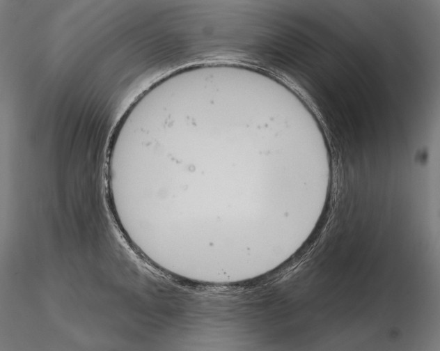 X0000115071093200912081142