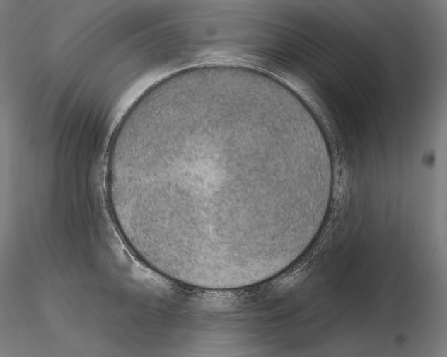 X0000115071094200912081142